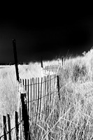 tawas-state-park-infrared-2008_008