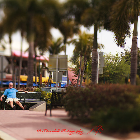 florida-2013-images-132
