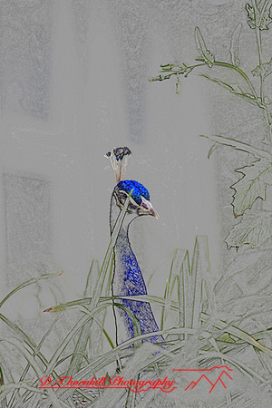 saginaw-zoo_09