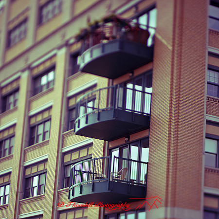 assorted-images_2013-003