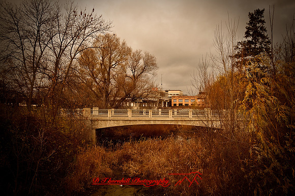 assorted_images-2009_53.jpg