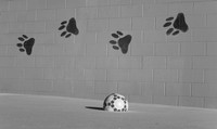 jghs-gs-dreams-2008_16.jpg