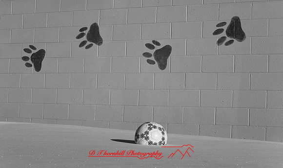 jghs-gs-dreams-2008_16.jpg