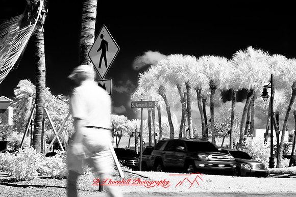 florida-2008-people-infrared_02.jpg