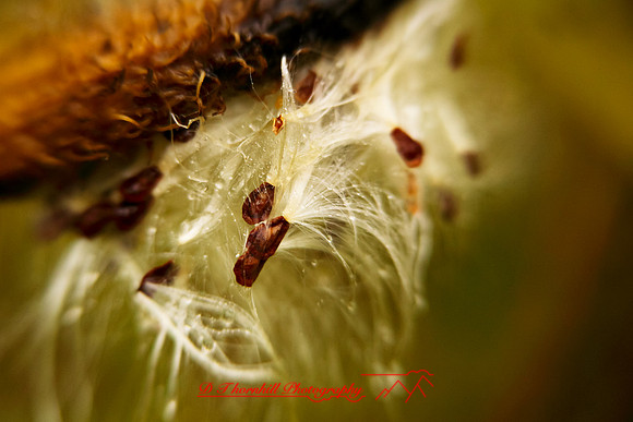 shiawassee-oct-2010_17