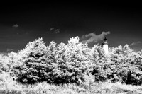tawas-state-park-infrared-2008_013