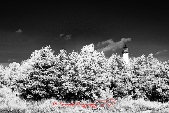 tawas-state-park-infrared-2008_013