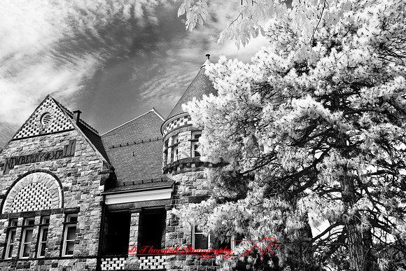 infrared-2008_070