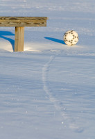 jghs-gs-dreams-2008_09.jpg
