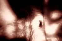 infrared-2010-random_007-nik.jpg