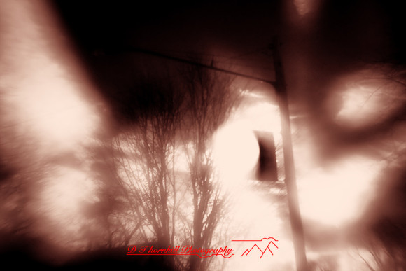 infrared-2010-random_007-nik.jpg
