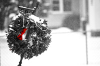 assorted_images-2009_002.jpg