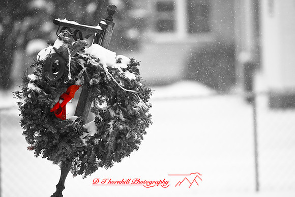 assorted_images-2009_002.jpg