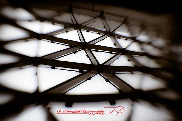 florida-images-2011-26
