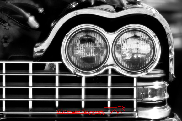 muth-car-show-infrared-2008_62