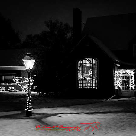 saginaw-christmas-2017-009