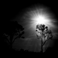 florida - pinhole - 2022 - 011
