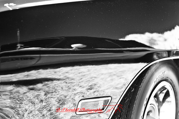muth-car-show-infrared-2008_04
