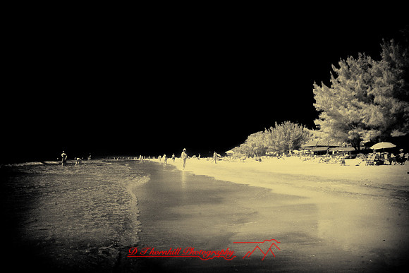 florida-2008-people-infrared_29-nik.jpg