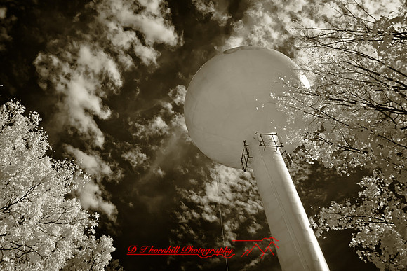 infrared-2010-random_039-nik