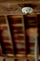 assorted_images-2011-142