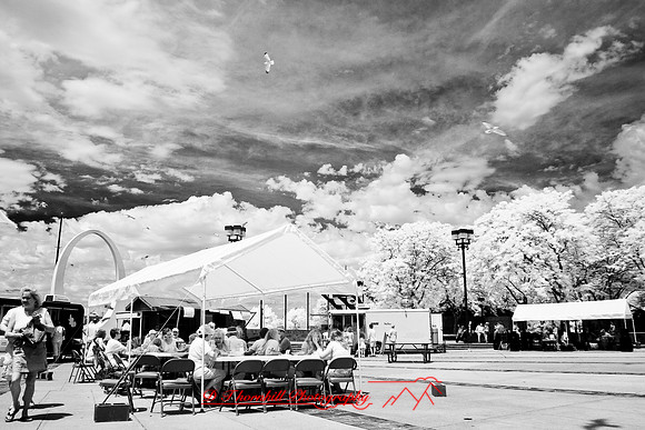bay_city-infrared-2008_15