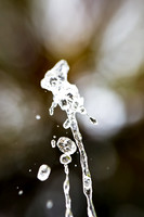 assorted_images-2011-153