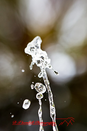 assorted_images-2011-153