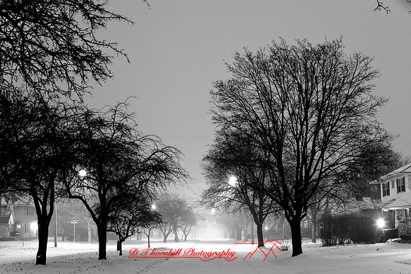 assorted_images-2007_107