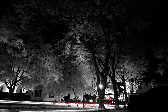 infrared-2009-random_20.jpg