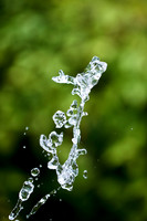 assorted_images-2011-154
