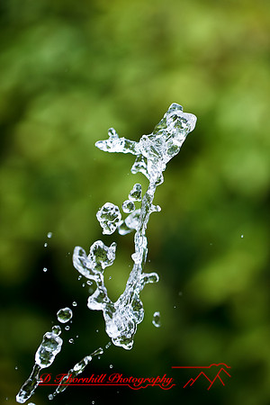 assorted_images-2011-154