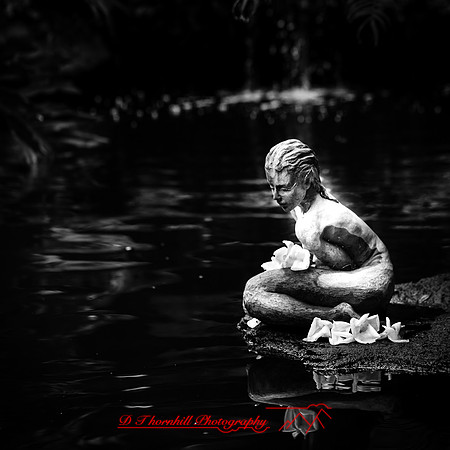 florida-march-2016-086
