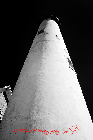 tawas-state-park-infrared-2008_030