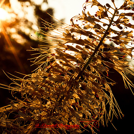 columbus--oh-images-2013-24