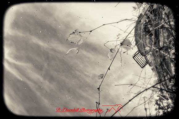 infrared_images-2012-030-nas