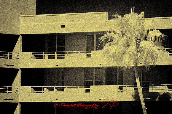 florida-2009-images-infrared_04-nik.jpg
