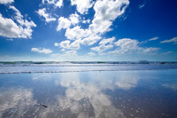 florida_images-2008_13.jpg