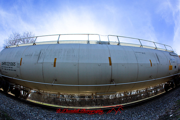 assorted-images-2010_011