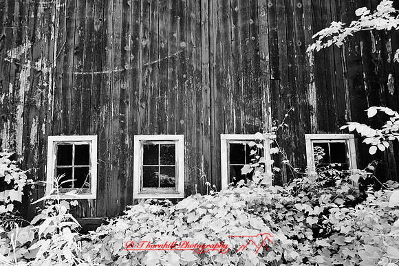 infrared_images-2012-011-nas