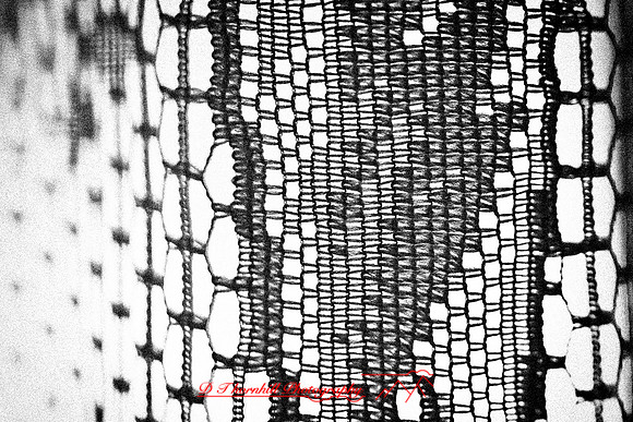 assored_images-2011-032-nik