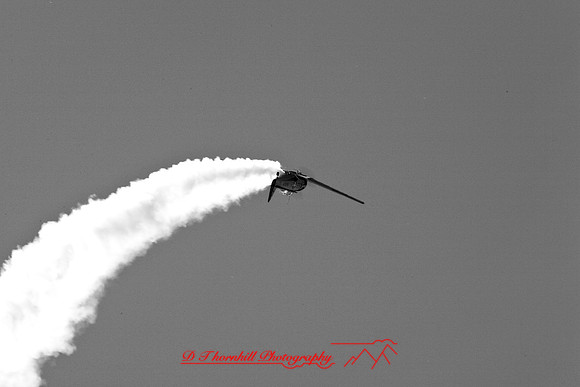bc-airshow-06_snj_trainer-47