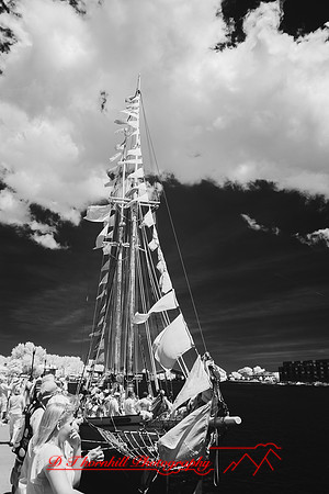 bay-city-tall-ships-2013-101