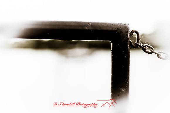 assorted_images-2012-085
