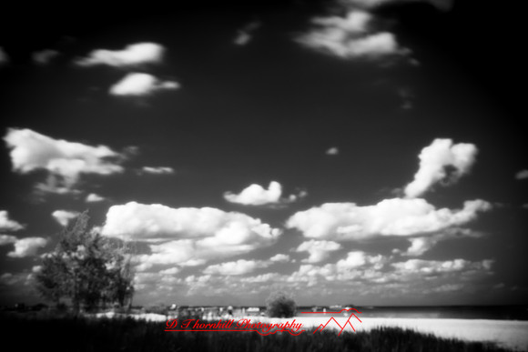 Bay City Stat Park - pinhole - 2022 - 004