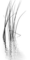 assorted images - 2022 - 010