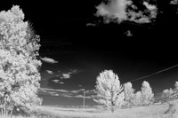 shiawasse_infrared_june-2008_05
