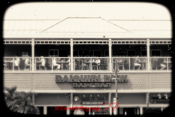 florida-images-2011-57-nas