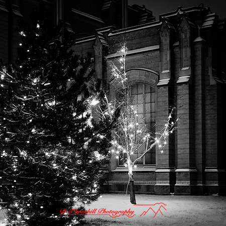 saginaw-christmas-2017-018