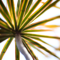 florida-2013-images-085